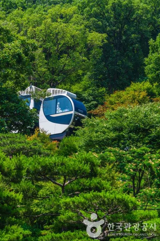푸른 나무 사이를 지나는 화담숲의 파란색과 흰색 모노레일 차량